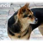 Francis