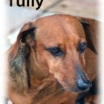 Tully